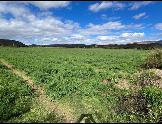 338HA FARM FOR SALE IN LADISMITH RURAL
